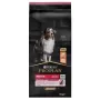 Purina Medium Adult Sensitive Skin 14 kg Lašiša