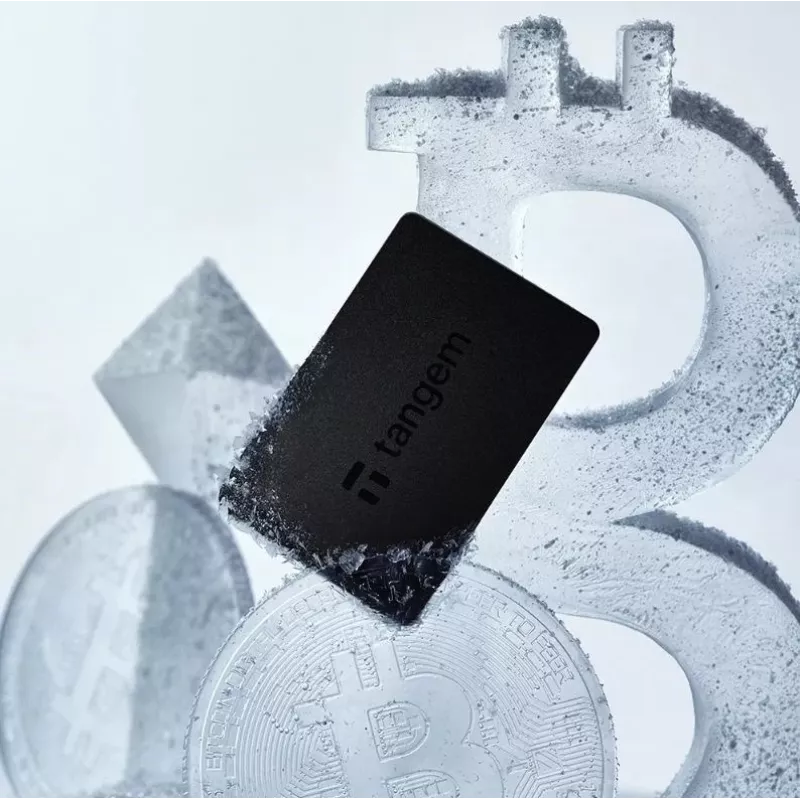 Tangem Wallet kriptovaliutų piniginė - 2 kortelės