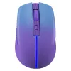 pelė DEFENDER MYSTERY MM-301 RF+BT PURPLE 1600dpi 6P