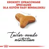 Sausas kačių ėdalas Royal Canin Bengal Adult 2 kg — paukštiena, 40 % baltymų, 18 % riebalų, virškinimo ir odos priežiūra