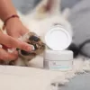 Tepalas VETEXPERT Paw Protection 75 ml — letenų priežiūra šunims ir katėms, tinka visoms veislėms ir amžiams