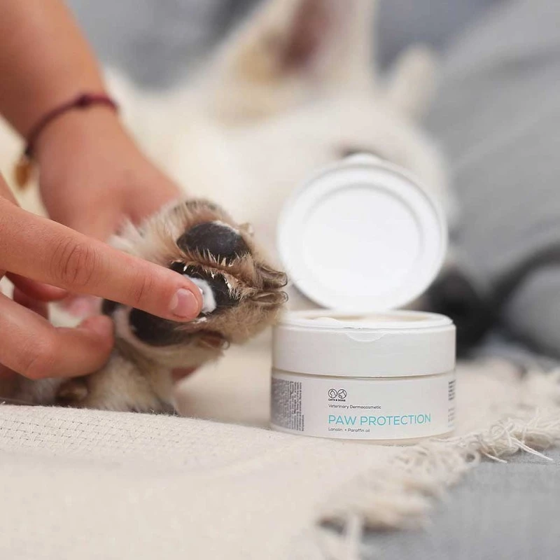 Tepalas VETEXPERT Paw Protection 75 ml — letenų priežiūra šunims ir katėms, tinka visoms veislėms ir amžiams