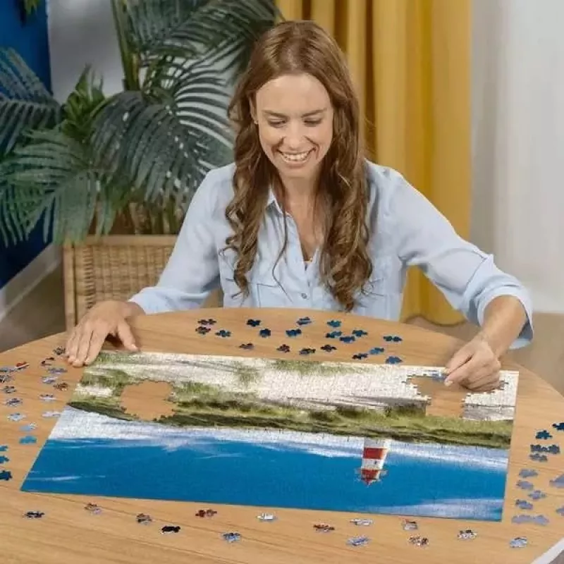 Dėlionė Ravensburger 12000451 1000 detalių Kita