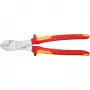 Knipex 74 06 250 gaminys