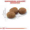 Sausas kačių maistas Royal Canin Sterilised 37 Adult, paukštienos skonio, 4 kg, 37% baltymų, 12% riebalų