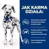 HILL'S PRESCRIPTION DIET Urinary Care Canine u/D sausas šunų maistas 10 kg