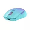 Belaidė pelė Tellur Silent Click TLL491331 USB