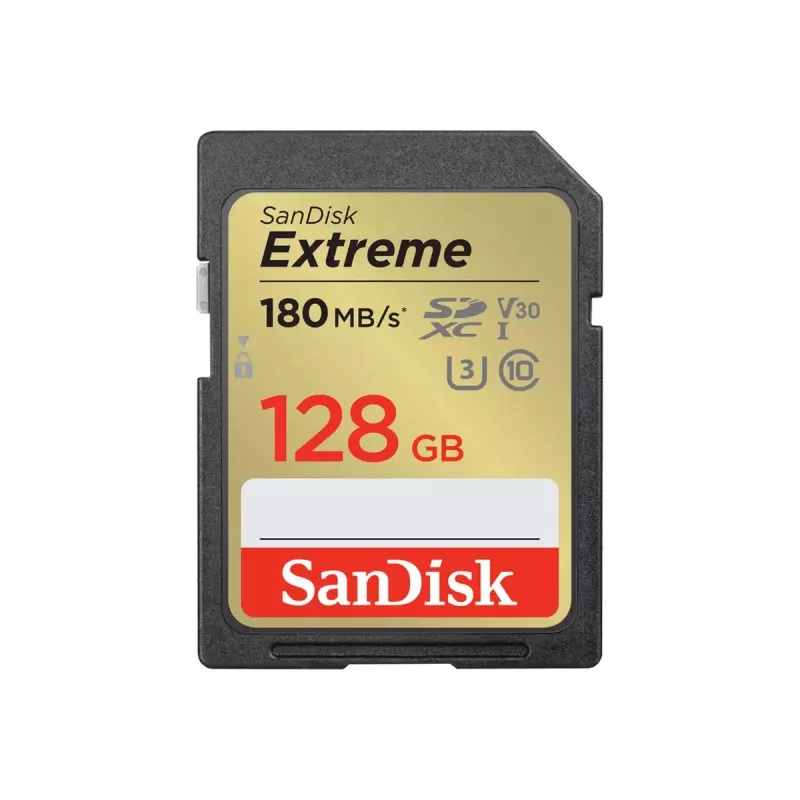 Atminties kortelė SDXC 128 GB UHS-1/SDSDXWA-128G-GNCIN Sandisk