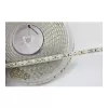 Synergy 21 LED lanksti juostelė 3528 - 120 KW DC24V 48W IP68