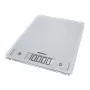 Leifheit 61504 Sidabrinis