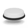 Panorama itin plokščia WiFi 5G antena LPM2W-24-72-2RPSP