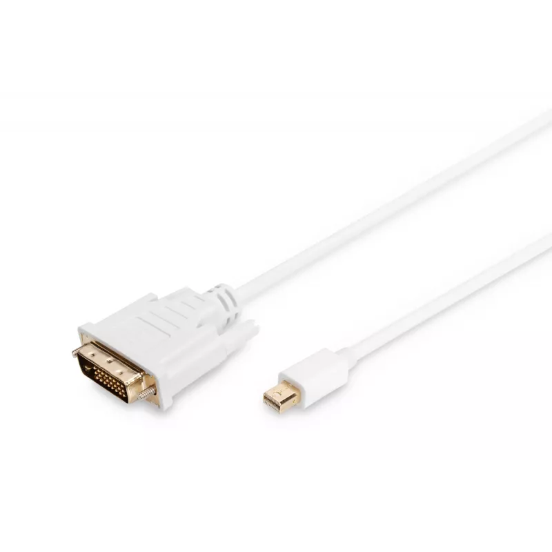 Laidas DisplayPort 1.1a mini DP-DVI tyPA MM 2,0 m