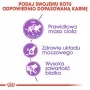 Sausas kačių maistas Royal Canin Sterilised 2 kg — suaugusios sterilizuotos katės, vištiena, 37 % baltymų