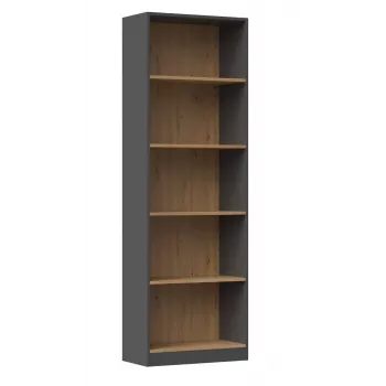 Topeshop R60 ANT/ART biuro knygų spinta