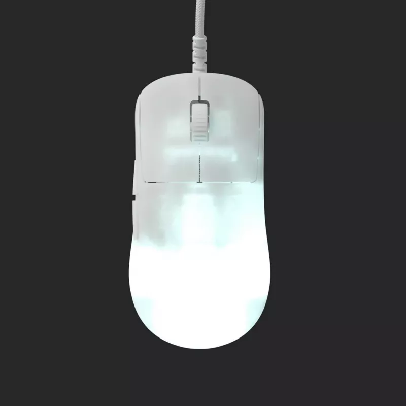 Endgame Gear OP1 RGB pelė Žaidimų Dešiniarankiams USB Type-A Optinė 26000 DPI