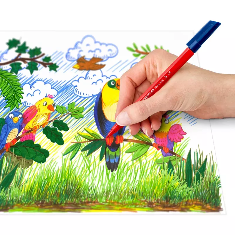 Fineliner rašikliai Staedtler 326 C10 E1, itin smulkus 1 mm antgalis, įvairių spalvų, pakuotėje 10 vnt.