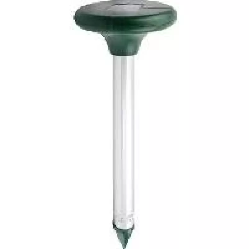 Talpykla Olympia IV 250 juoda