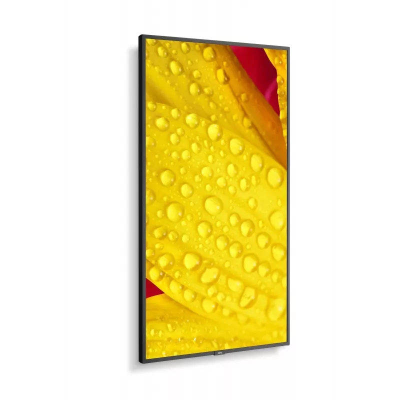 NEC MultiSync M651-2 Kiosk dizainas 165,1 cm (65 colių) LED 500 cd/m² 4K Ultra HD juoda Integruotas procesorius