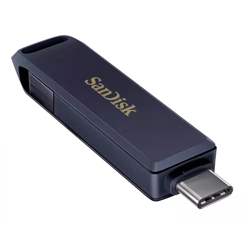 USB atmintukas SanDisk 256 GB USB Type-C Lightning iXpand