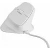 NATEC Crake 2 Pro pelė universali dešiniarankiams USB A tipo optinė 12800 DPI