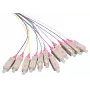 LOGON LFP035 InfiniBand/šviesolaidinis kabelis 2 m 12x SC įvairiaspalvis (LFP035)