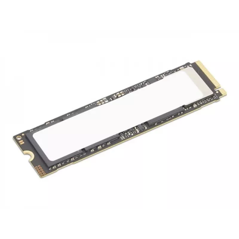 Lenovo 4XB1S30112 vidinis kietojo kūno diskas 1 TB M.2 PCI Express 5.0 NVMe