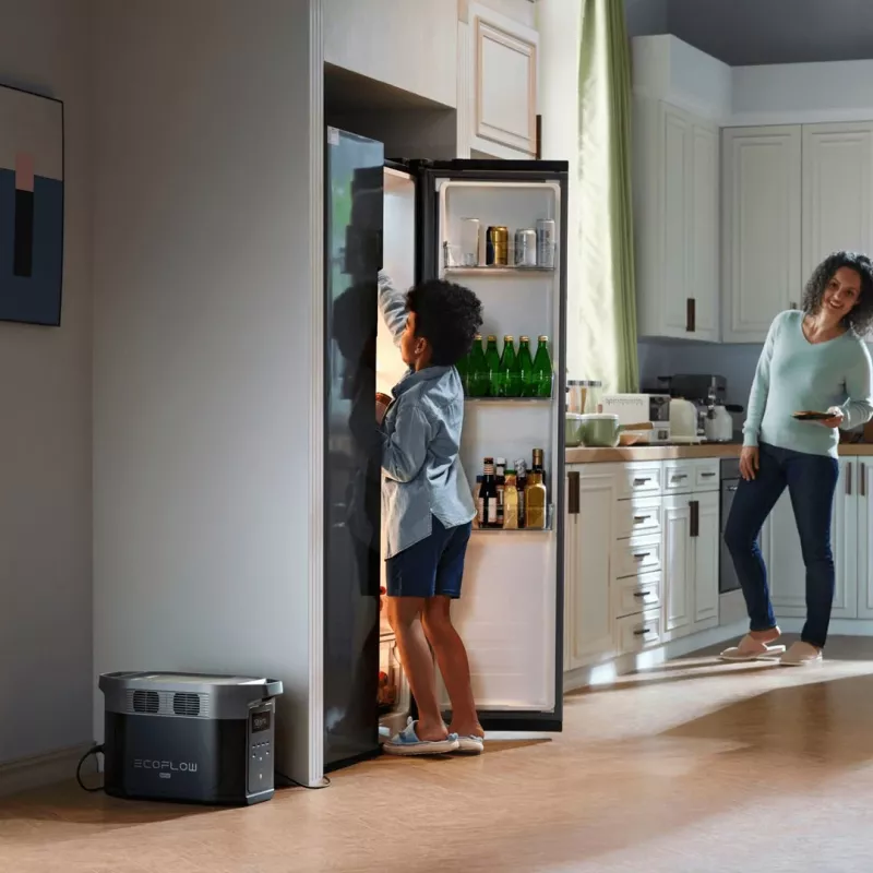 EcoFlow DELTA 2 Max nešiojamoji elektrinė ličio geležies fosfatas (LiFePO4) 2400 W 23 kg