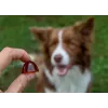GELOREN Large dog Joints - dog vitamins - 420g