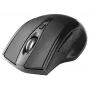 Tracer 47432 belaidė optinė pelė RF 2,4Ghz/BT juoda