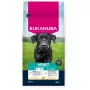 Sausas šunų maistas EUKANUBA Adult Large vištiena 15 kg — suaugusių didelių veislių pilnavertis sausas maistas, vištiena, 15 kg