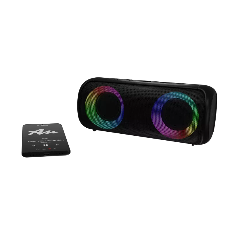 Stereo nešiojamas garsiakalbis Audictus Aurora Pro 20 W
