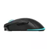 Pelė Baracuda BGM-121 Turtle juoda USB