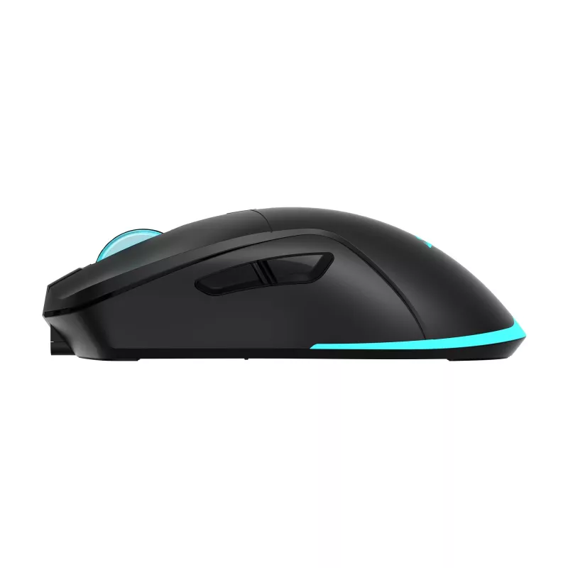Pelė Baracuda BGM-121 Turtle juoda USB