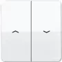 JUNG svirties jungiklis/mygtojas CD595PWW CD500 Alpių balta CD595PWW (CD595PWW)
