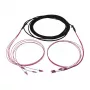 Synergy 21 LWL-kabelis Trunk kabelis U-DQ ZN BH 4G 50/125 LC/LC OM4 40m Ring - Kabelis - Daugiamodė šviesolaidinė skaidula
