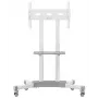 TV stovas ONKRON TS1351-W 32–65 colių televizoriams, baltas, universalus grindų stovas
