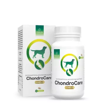 POKUSA ChondroCare Complex - papildai šunims - 120 vnt.