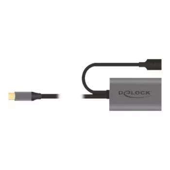 Delock USB-20225 maitinimo adapteris pilkas
