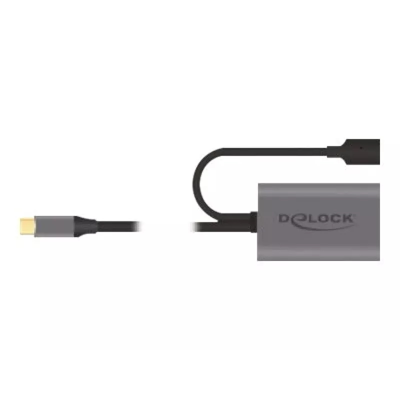 Delock USB-20225 maitinimo adapteris pilkas