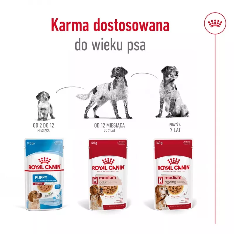 ROYAL CANIN SHN Medium Adult su padažu - drėgnas ėdalas suaugusiems šunims - 10x140g
