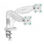 Sieninis laikiklis ONKRON G160-W 13–32 colių monitoriams, baltas, fiksuotas pakreipiamas, VESA 75x75–100x100