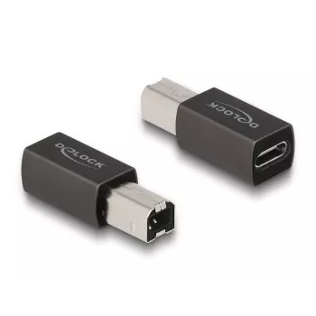 DeLOCK USB 2.0 adapteris USB Type-C lizdas į Type-B kištukas 65839