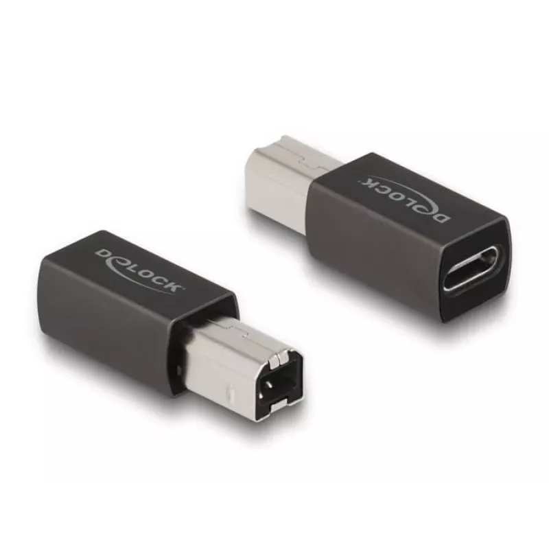 DeLOCK USB 2.0 adapteris USB Type-C lizdas į Type-B kištukas 65839