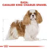 Sausas šunų maistas Royal Canin Cavalier King Charles Adult 1,5 kg — Vištiena, Maža veislė, Odos ir kailio, Širdies palaikymas