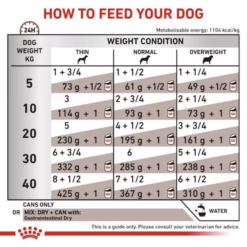 Konservuota veterinarinė dieta Royal Canin Gastro Intestinal 200 g – suaugusiems šunims, paukštiena, virškinimo palaikymas