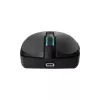Pelė Baracuda BGM-121 Turtle juoda USB