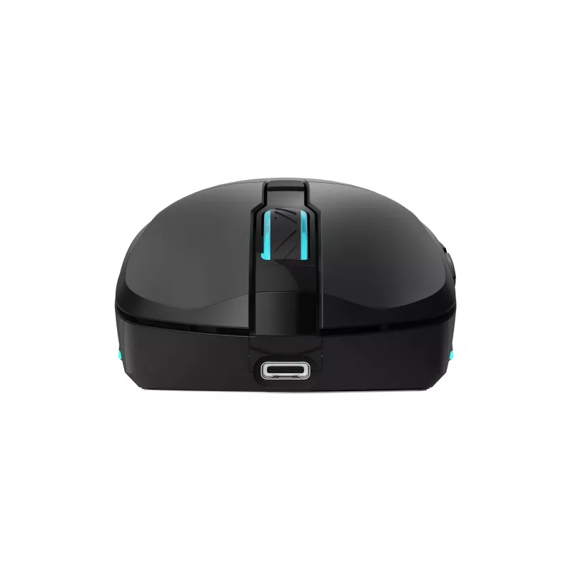 Pelė Baracuda BGM-121 Turtle juoda USB