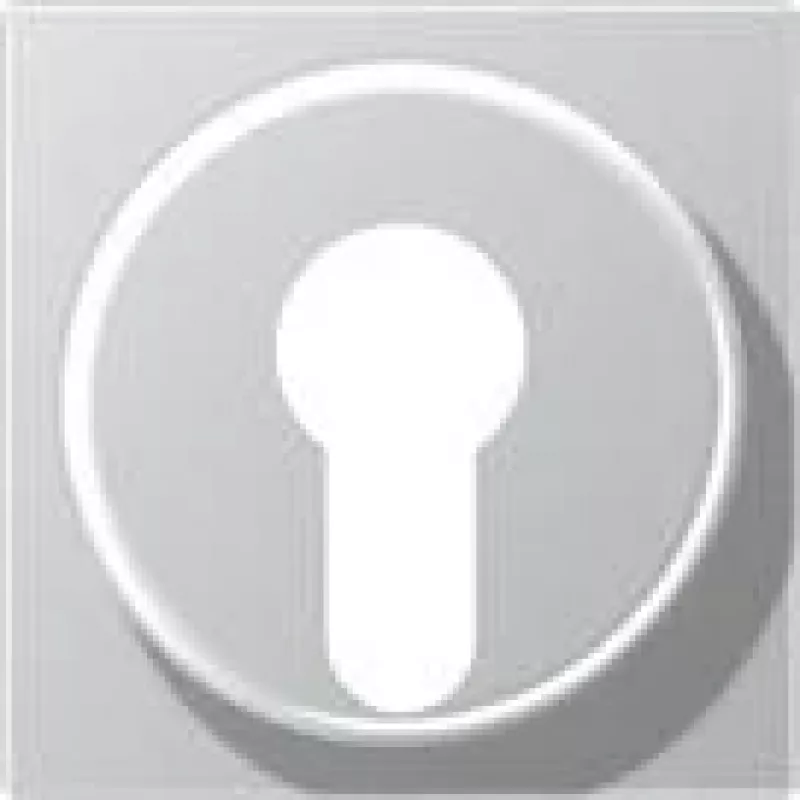 Jung Cover Plate alu for Key Switch A 528 PL AL (A528PLAL)