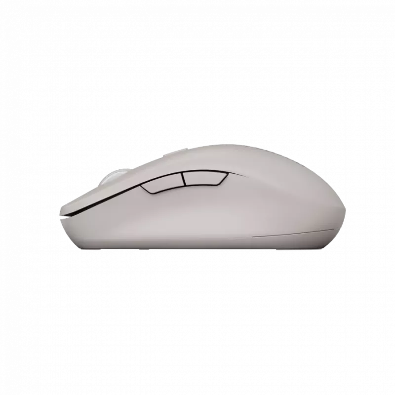 Canyon pelė MW-12 Dual band Wireless Beže - Pelė - 2.400 dpi (CNS-CMSW12BG)