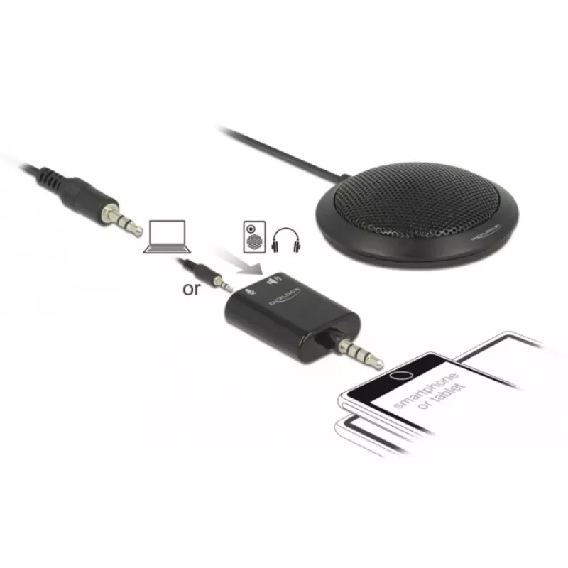 Stalinis mikrofonas DeLOCK 65873 Juoda